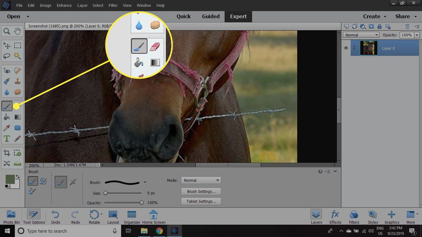 remove object in photoshop elements